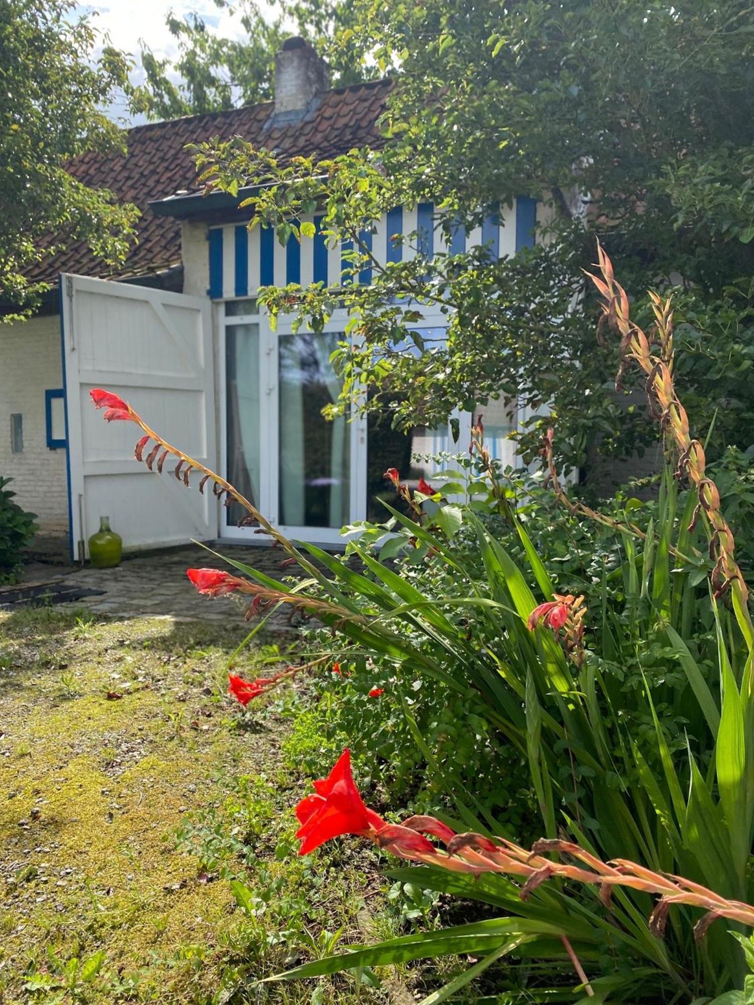 Hamiora Wellness B&B Deinze Exterior foto